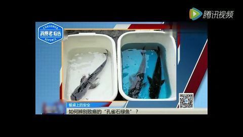 孔雀石綠使用的安全性：孔雀石綠在食品安全方面的應用 其他寵物 第4張