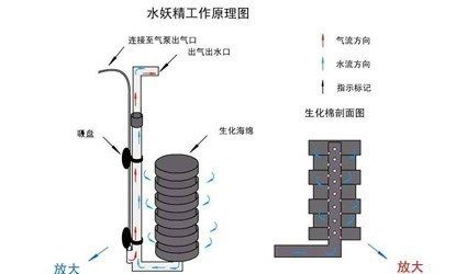 如何建立穩(wěn)定的硝化系統(tǒng)：如何建立穩(wěn)定的硝化系統(tǒng)以有效處理污水 其他寵物 第5張