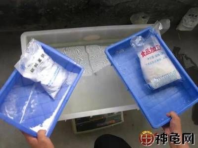 水霉病預(yù)防藥物的使用時機：水霉病預(yù)防藥物的使用時機是關(guān)鍵 其他寵物 第4張