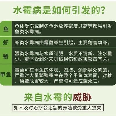 水霉病預(yù)防藥物的使用時機：水霉病預(yù)防藥物的使用時機是關(guān)鍵 其他寵物 第3張