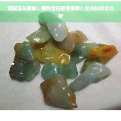 馬拉莫寶石魚(yú)苗營(yíng)養(yǎng)需求分析：馬拉莫寶石魚(yú)苗對(duì)營(yíng)養(yǎng)的需求分析 其他寵物 第4張