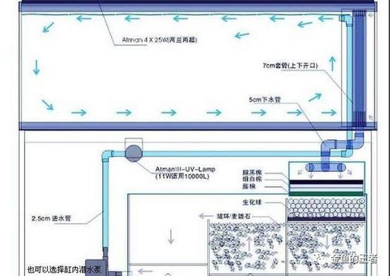 水族箱濾材選擇技巧：水族箱濾材培菌效果對比，濾材清潔頻率及方法 其他寵物 第3張