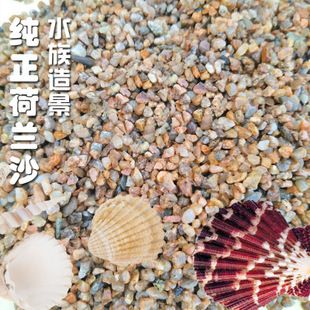 水族箱底沙選擇指南：水族箱底沙對水質(zhì)影響，珊瑚砂適用魚種推薦 其他寵物 第3張