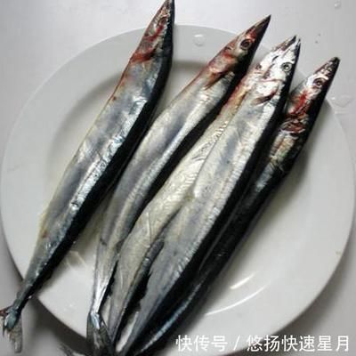 秋刀魚的營養(yǎng)價值分析：秋刀魚是一種營養(yǎng)豐富且美味可口的海產(chǎn)品在現(xiàn)代飲食中的重要作用 其他寵物 第4張