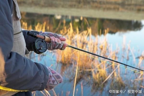 自制魚飼料保存方法探究：自制魚飼料的保存方法