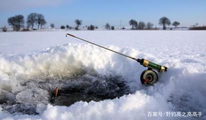 不同水溫對雪鯽魚影響：不同水溫對雪鯽魚的影響