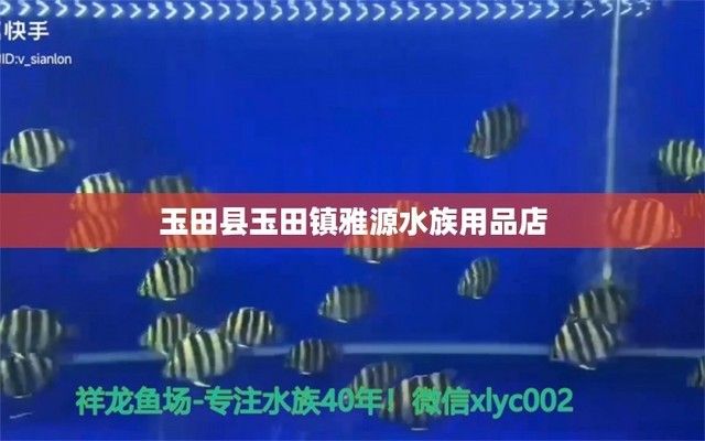 龍魚一直浮在水面上：龍魚為什么會(huì)在水面上停留在水面上？ 水族問(wèn)答 第2張