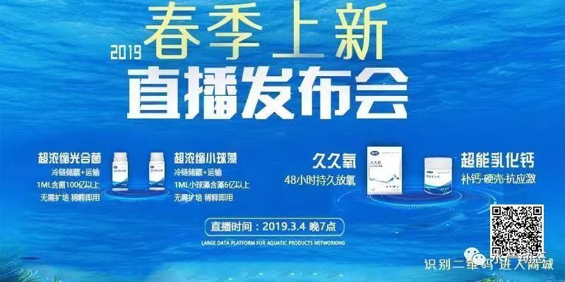 魚苗飼料適口性對消化的影響：魚苗飼料的適口性對其消化系統(tǒng)有著顯著影響的具體分析 其他寵物 第2張