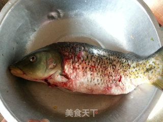 七紋巨鯉魚繁殖期間餌料選擇：七紋巨鯉魚繁殖期間餌料選擇并沒有相關(guān)的直接信息 其他寵物 第1張