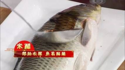 七紋巨鯉魚繁殖期間餌料選擇：七紋巨鯉魚繁殖期間餌料選擇并沒有相關(guān)的直接信息 其他寵物 第4張