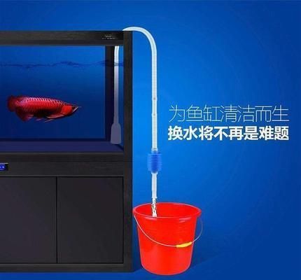 水族箱換水最佳時(shí)機(jī)：水族箱中換水的最佳時(shí)機(jī) 其他寵物 第2張