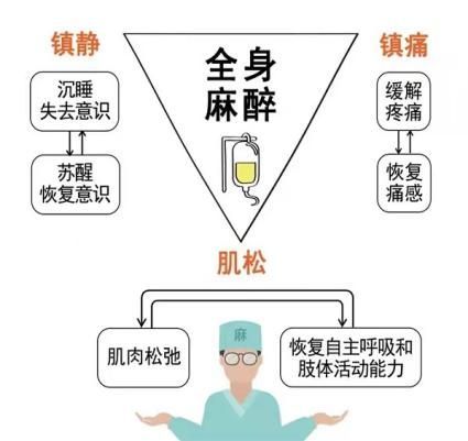 全身麻醉后認(rèn)知功能自我測試方法：全身麻醉后的認(rèn)知功能自我測試 其他寵物 第2張