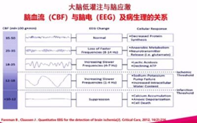 全身麻醉后認(rèn)知功能自我測試方法：全身麻醉后的認(rèn)知功能自我測試 其他寵物 第1張