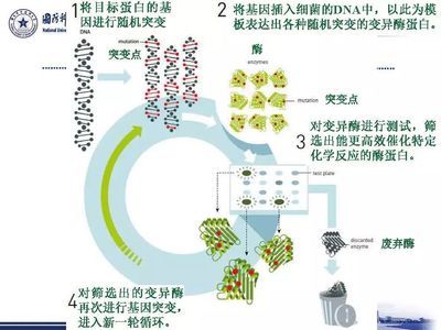 如何選擇DNA測試機(jī)構(gòu)：dna測試機(jī)構(gòu)資質(zhì)查詢方法 其他寵物 第5張