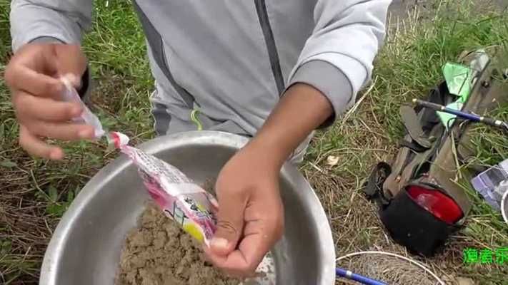 泰龐海鰱魚餌料霧化效果優(yōu)化：優(yōu)化泰龐海鰱魚餌料霧化效果的研究 其他寵物 第2張