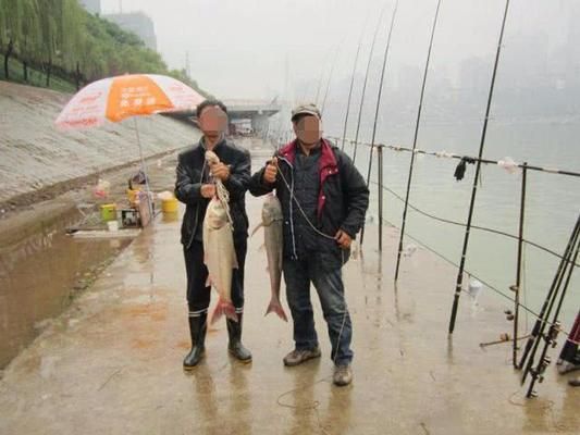 泰龐海鰱魚餌料霧化效果優(yōu)化：優(yōu)化泰龐海鰱魚餌料霧化效果的研究 其他寵物 第1張