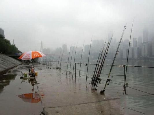 泰龐海鰱魚餌料霧化效果優(yōu)化：優(yōu)化泰龐海鰱魚餌料霧化效果的研究 其他寵物 第3張