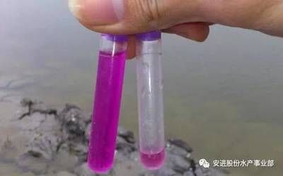 如何檢測水體硝酸鹽含量：硝酸鹽含量是一個重要的環(huán)境指標(biāo), 其他寵物 第1張