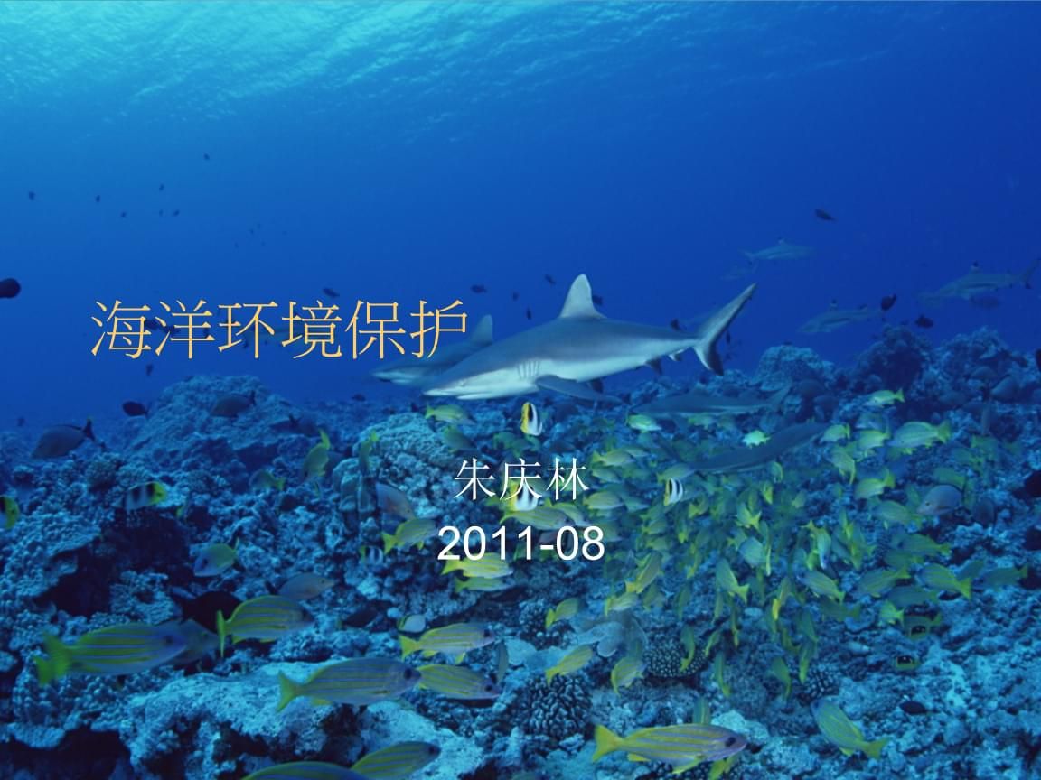 海洋生物保護(hù)的實(shí)際措施：關(guān)于海洋生物保護(hù)的實(shí)際措施 其他寵物 第1張