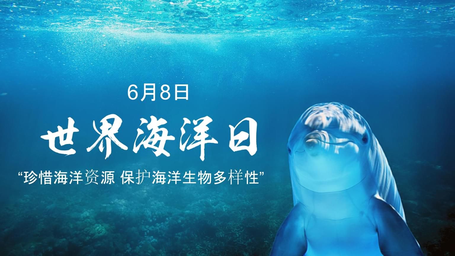 海洋生物保護(hù)的實(shí)際措施：關(guān)于海洋生物保護(hù)的實(shí)際措施 其他寵物 第2張