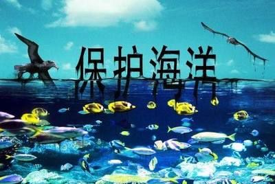 海洋生物保護(hù)的實(shí)際措施：關(guān)于海洋生物保護(hù)的實(shí)際措施 其他寵物 第4張