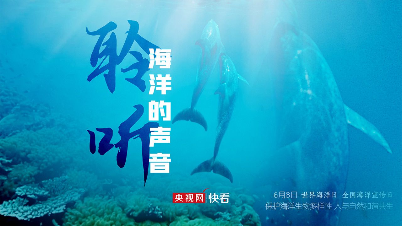 海洋生物保護(hù)的實(shí)際措施：關(guān)于海洋生物保護(hù)的實(shí)際措施 其他寵物 第3張