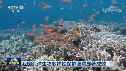 海洋生物保護(hù)的實(shí)際措施：關(guān)于海洋生物保護(hù)的實(shí)際措施 其他寵物 第5張