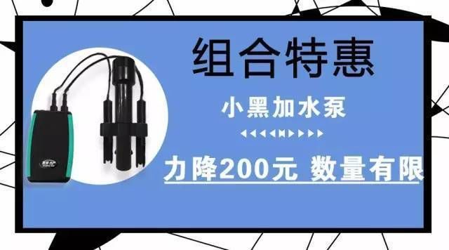 魚苗用藥指南與誤區(qū)解析：常見的魚苗用藥錯(cuò)誤和誤區(qū)解析魚苗疾病防治誤區(qū) 其他寵物 第2張