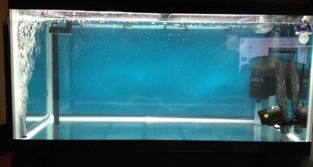 水族箱硝化細(xì)菌繁殖速度：新建水族箱的硝化細(xì)菌繁殖速度與水質(zhì)關(guān)系的關(guān)系 其他寵物 第5張