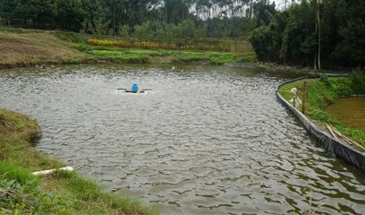 魚(yú)苗保溫設(shè)備選型建議：魚(yú)苗保溫設(shè)備的選型 其他寵物 第5張