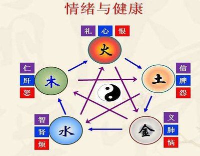 五行學(xué)說如何指導(dǎo)日常健康管理：五行季節(jié)養(yǎng)生的詳細(xì)指南 其他寵物 第4張