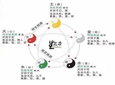 五行學(xué)說如何指導(dǎo)日常健康管理：五行季節(jié)養(yǎng)生的詳細(xì)指南 其他寵物 第5張