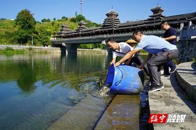 改善魚苗水質(zhì)的具體措施：如何改善魚苗水質(zhì) 其他寵物 第1張