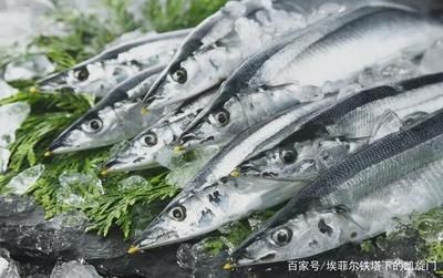 秋刀魚新鮮度綜合判斷方法：如何挑選活秋刀魚 其他寵物 第6張