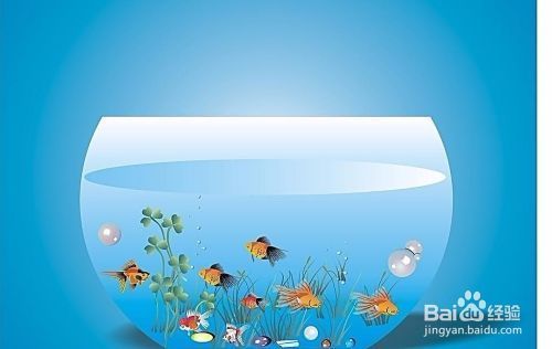 水族箱過濾器選擇技巧：水族箱過濾器的選擇技巧 其他寵物 第2張