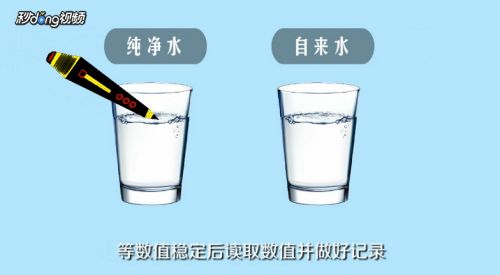 如何快速檢測(cè)水質(zhì)變化：便攜式水質(zhì)檢測(cè)儀的使用技巧 其他寵物 第3張