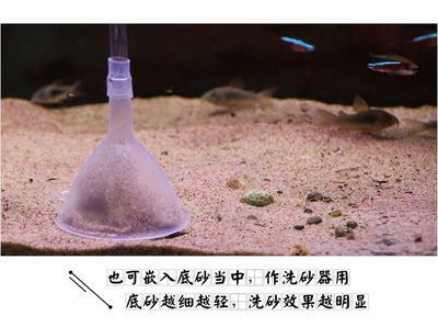 普通底砂對水質(zhì)的具體影響：普通底砂對水質(zhì)具體影響 其他寵物 第3張