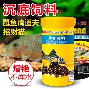 如何選擇招財(cái)魚飼料：招財(cái)魚飼料營養(yǎng)均衡指南 其他寵物 第2張