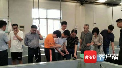 銀古魚苗專用飼料配方：銀古魚苗專用飼料配方優(yōu)化 其他寵物 第4張