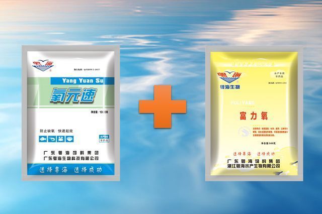 龍魚怎么調(diào)理胃腸道：-龍魚在調(diào)理胃腸道方面有什么作用嗎 水族問(wèn)答 第2張