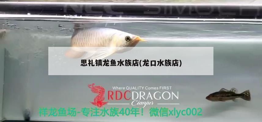 麗水龍魚水族店：麗水龍魚水族店：麗水龍魚水族館經營和銷售的公司