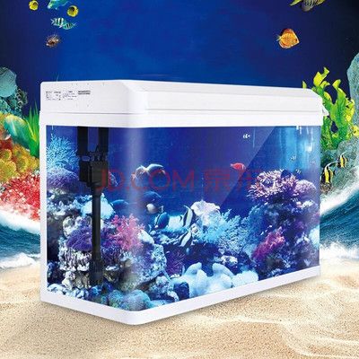 山南龍魚水族店：山南龍魚水族店定期舉辦各種魚類展覽和文化活動 全國觀賞魚市場 第1張