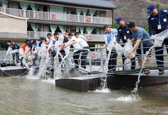 攀枝花觀賞魚市場(chǎng)：攀枝花觀賞魚市場(chǎng)價(jià)格 全國(guó)觀賞魚市場(chǎng) 第1張