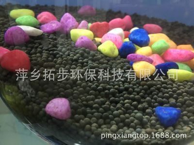 萍鄉(xiāng)觀賞魚市場：萍鄉(xiāng)市觀賞魚市場 全國觀賞魚市場 第2張