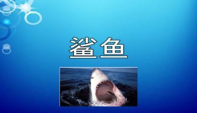 龍魚長得快不快：龍魚的體型增長快不快？ 水族問答 第2張