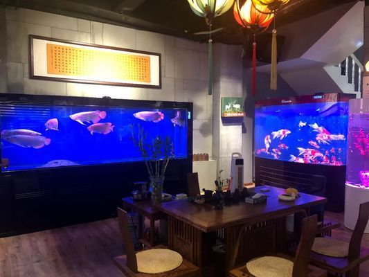 成都智拓水族用品公司專利展示：成都智拓水族用品專利展示 水族雜談 第2張