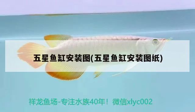 海霸魚缸定期保養(yǎng)建議方法：海霸魚缸定期保養(yǎng)建議 水族雜談 第1張