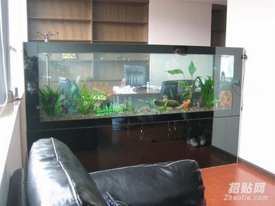 定制魚缸服務(wù)流程：定制魚缸基本服務(wù)流程 水族雜談 第4張