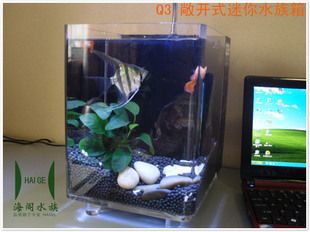 q3-400魚缸適合養(yǎng)什么魚：q3-400魚缸水草搭配建議 水族雜談 第5張