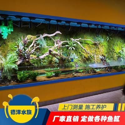 德洋水族定制魚(yú)缸流程：德洋水族定制魚(yú)缸具體流程 水族雜談 第5張